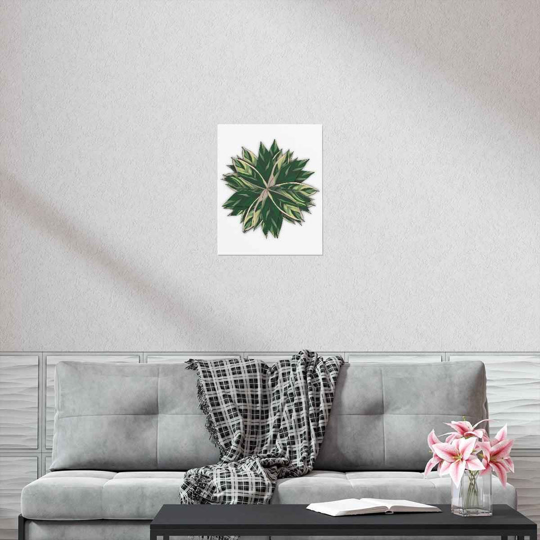 Stromanthe Triostar Print – Tropical Wall Art | Botanical Poster on Museum Grade Paper Unframed
