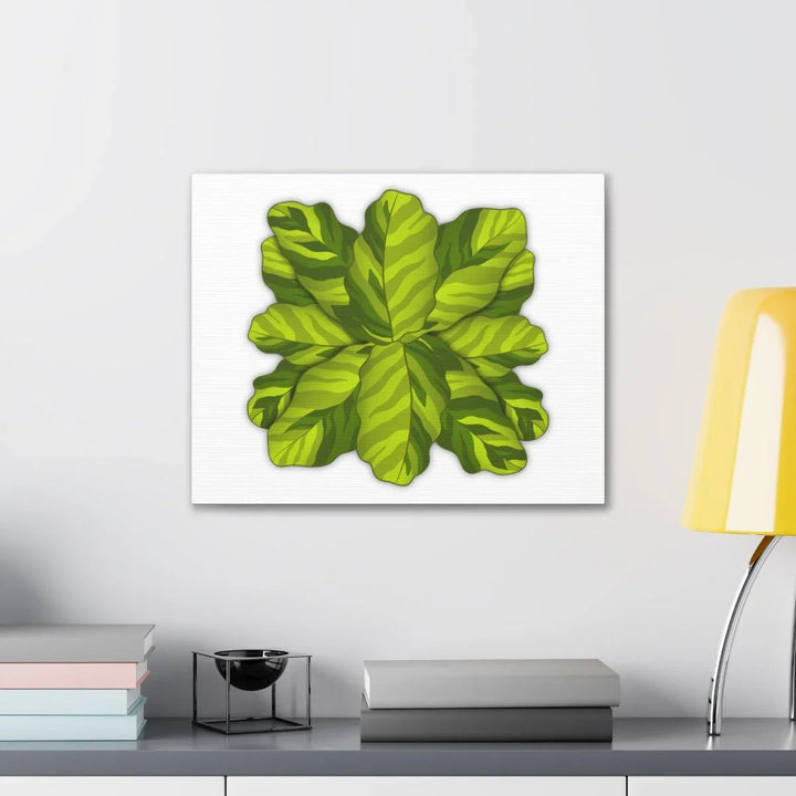 Calathea Yellow Fusion Canvas – Botanical Canvas Print With Unique Leaf Pattern Art - Laura Christine Photography & Design