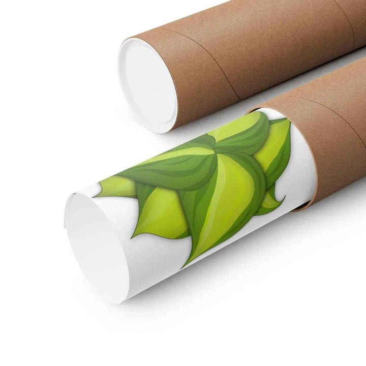 Philodendron Brasil Print – Botanical Wall Art on Museum Grade Paper Poster Unframed