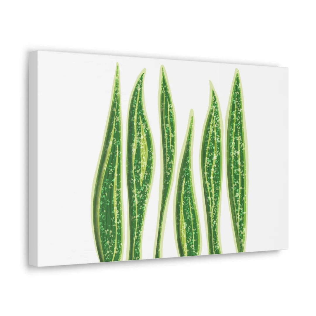 Snake Plant Canvas | Botanical Canvas Decor - Matte Finish Artwork for Living Room - Laura Christine Photography & Design