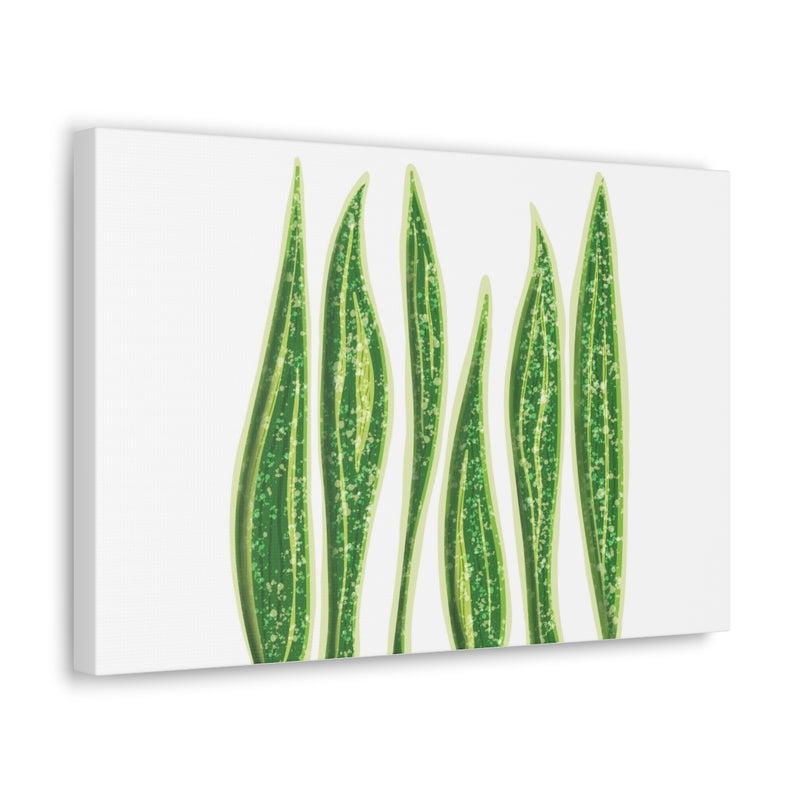 Snake Plant Canvas