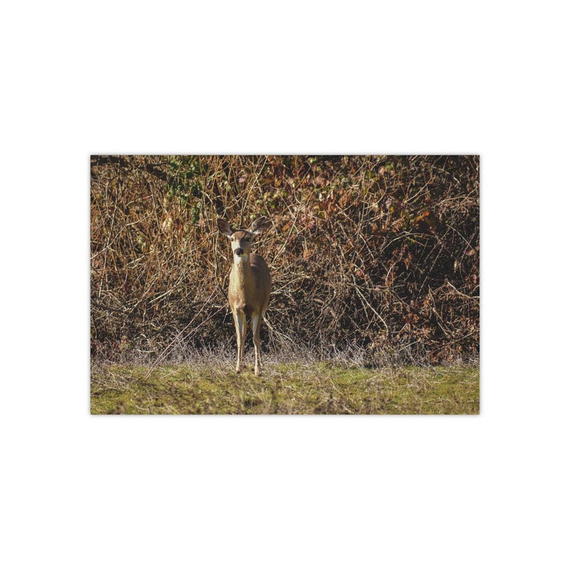 Deer Camouflaged in Thicket - Photo Poster, Poster, Laura Christine Photography & Design, Art & Wall Decor, Home & Living, Paper, Poster, Posters, Laura Christine Photography & Design, laurachristinedesign.com