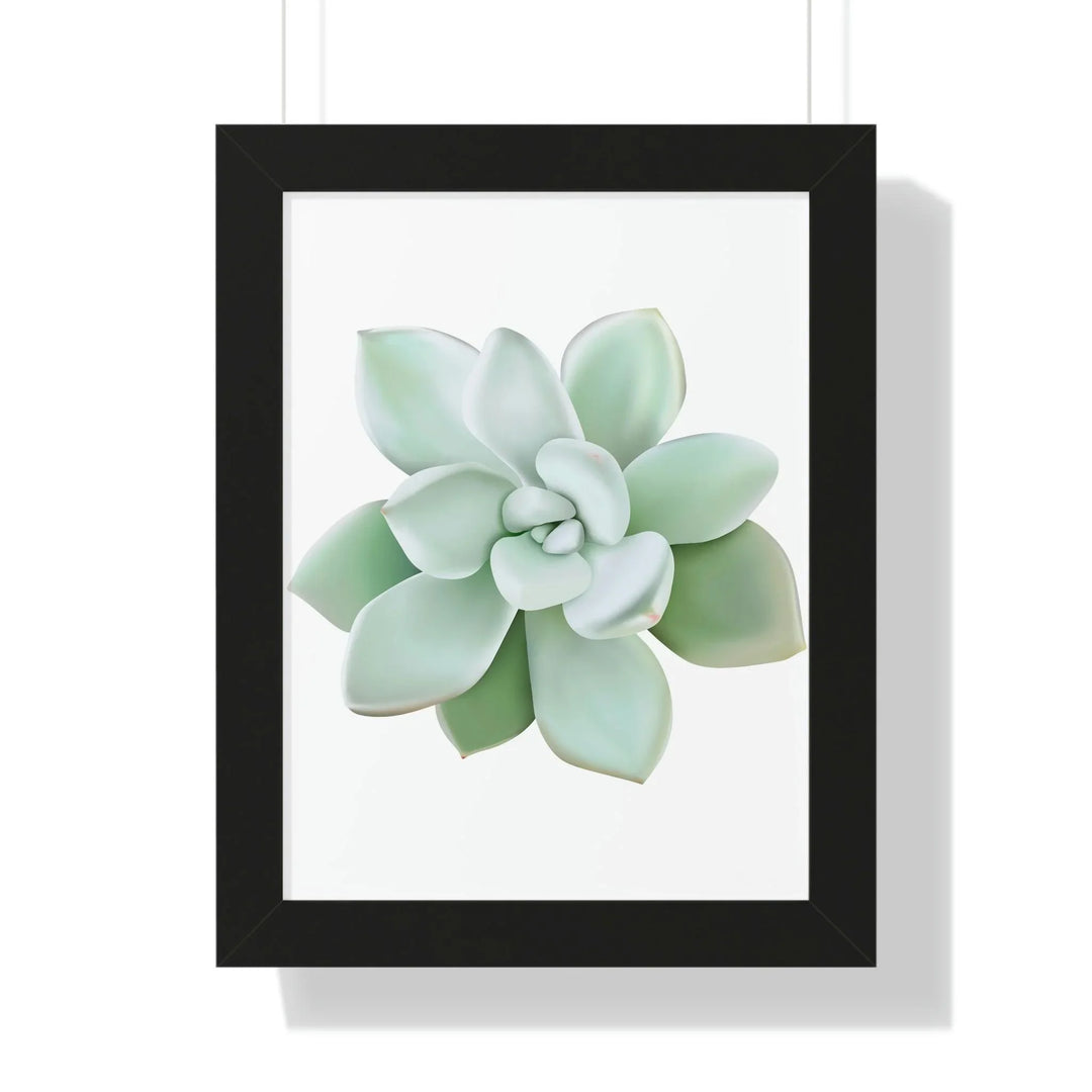 Pachyveria Haagei Succulent Framed Print, Poster, Printify, Framed, Home & Living, Indoor, Paper, Posters, Laura Christine Photography & Design, laurachristinedesign.com