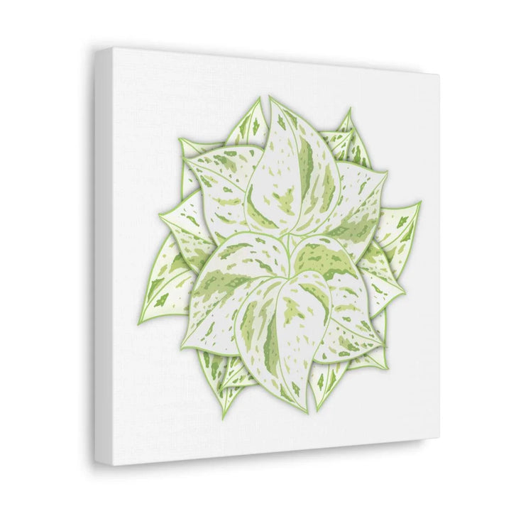 Snow Queen Pothos Canvas – Variegated Leaf Canvas Art Print | Durable Cotton - Laura Christine Photography & Design