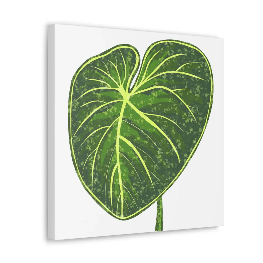 Philodendron Gloriosum Canvas - Stretched Canvas Art Print | Matte Indoor Wall Art - Laura Christine Photography & Design