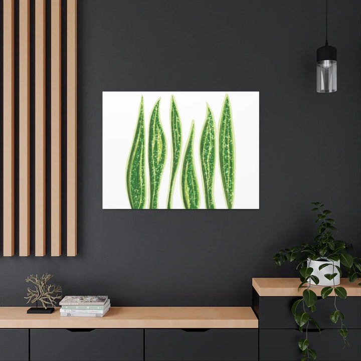 Snake Plant Canvas | Botanical Canvas Decor - Matte Finish Artwork for Living Room - Laura Christine Photography & Design