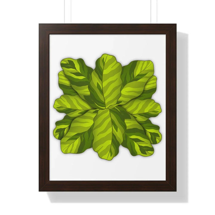 Calathea Yellow Fusion Framed Print, Poster, Laura Christine Photography & Design, Bottle, Calathea, Canvas Bag, Coffee, Drinkware, Framed, Home & Living, Indoor, Paper, Posters, Prayer Plant, Reusable, Shopping Bag, Tea, Tote Bag, Travel, Tumbler, Water, Yellow Fusion, Laura Christine Photography & Design, laurachristinedesign.com