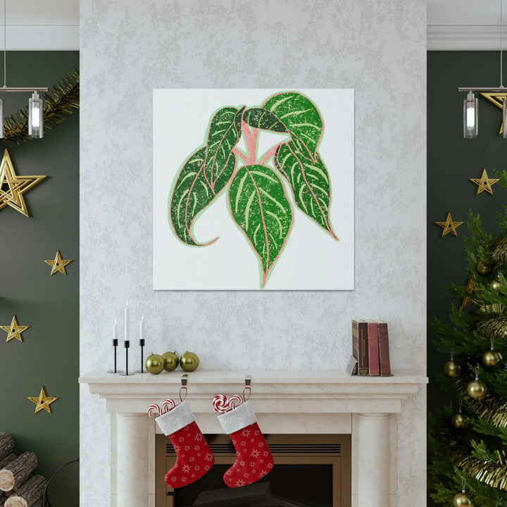 Aglaonema Plant Canvas | Sparkling Plant Artwork - Colorfast Canvas Art Print Decor