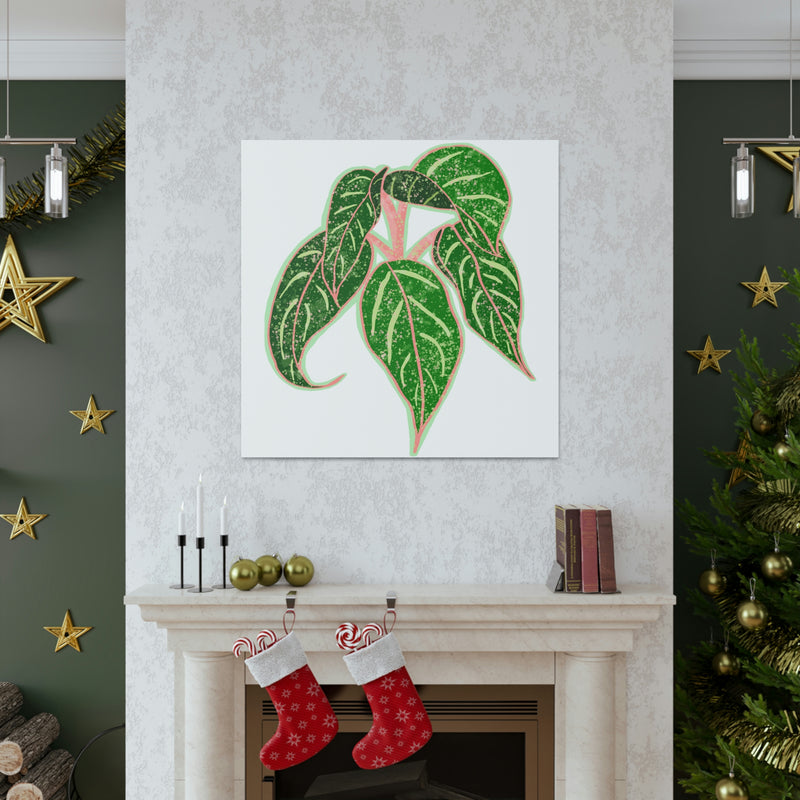 Aglaonema Sparkling Sarah Plant Canvas