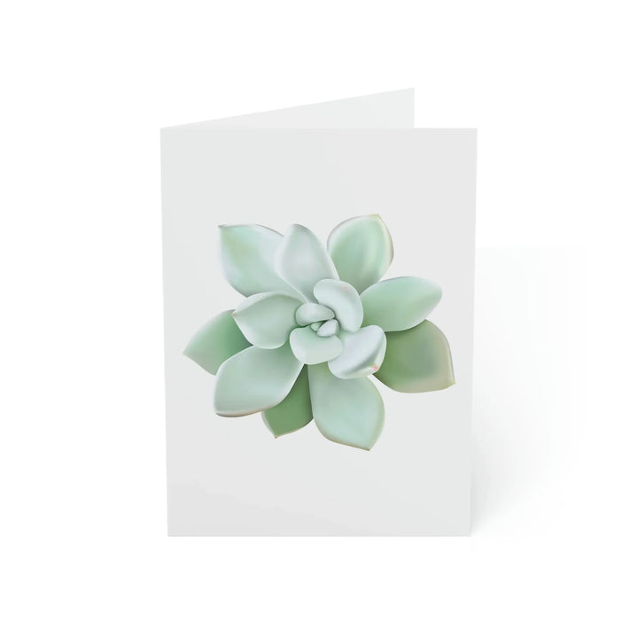 Succulent Greeting Card – Pachyveria Haagei Pastel Botanical Art Print