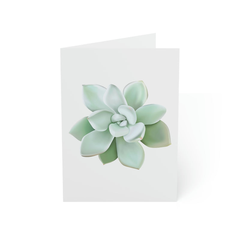 Pachyveria Haagei Succulent Greeting Card