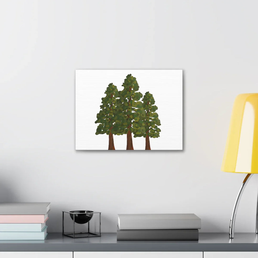 Coastal Redwoods Canvas - Stretched Cotton Canvas Art Print | Matte Finish Wall Hanging Artwork