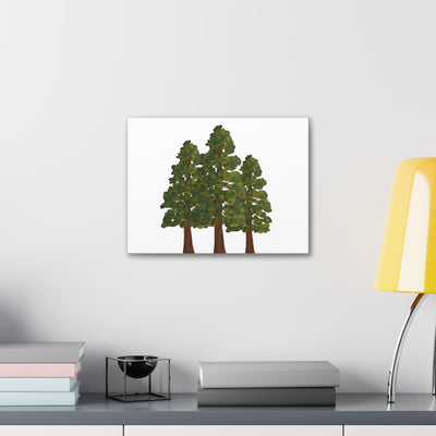 Coastal Redwoods Canvas