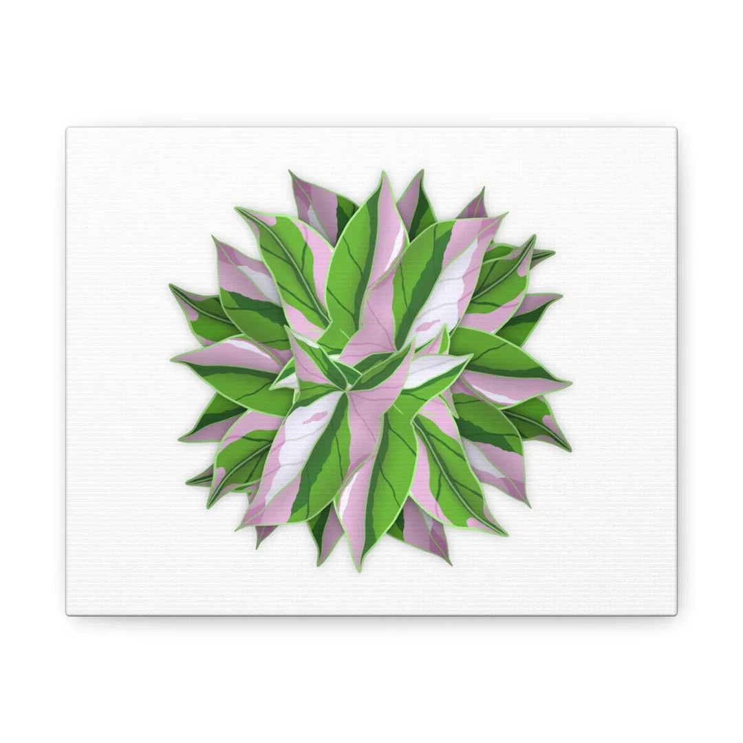 Tricolor Syngonium Canvas - Durable Canvas Art Print With Matte Finish & Botanical Design - Laura Christine Photography & Design