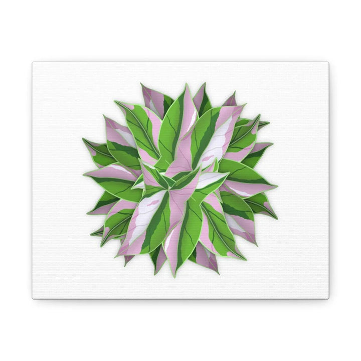 Tricolor Syngonium Canvas - Durable Canvas Art Print With Matte Finish & Botanical Design - Laura Christine Photography & Design