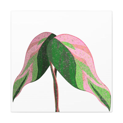 Pink Princess Philodendron Canvas, Canvas, Laura Christine Photography & Design, Art & Wall Decor, Canvas, Hanging Hardware, Home & Living, Indoor, Laura Christine Photography & Design, laurachristinedesign.com