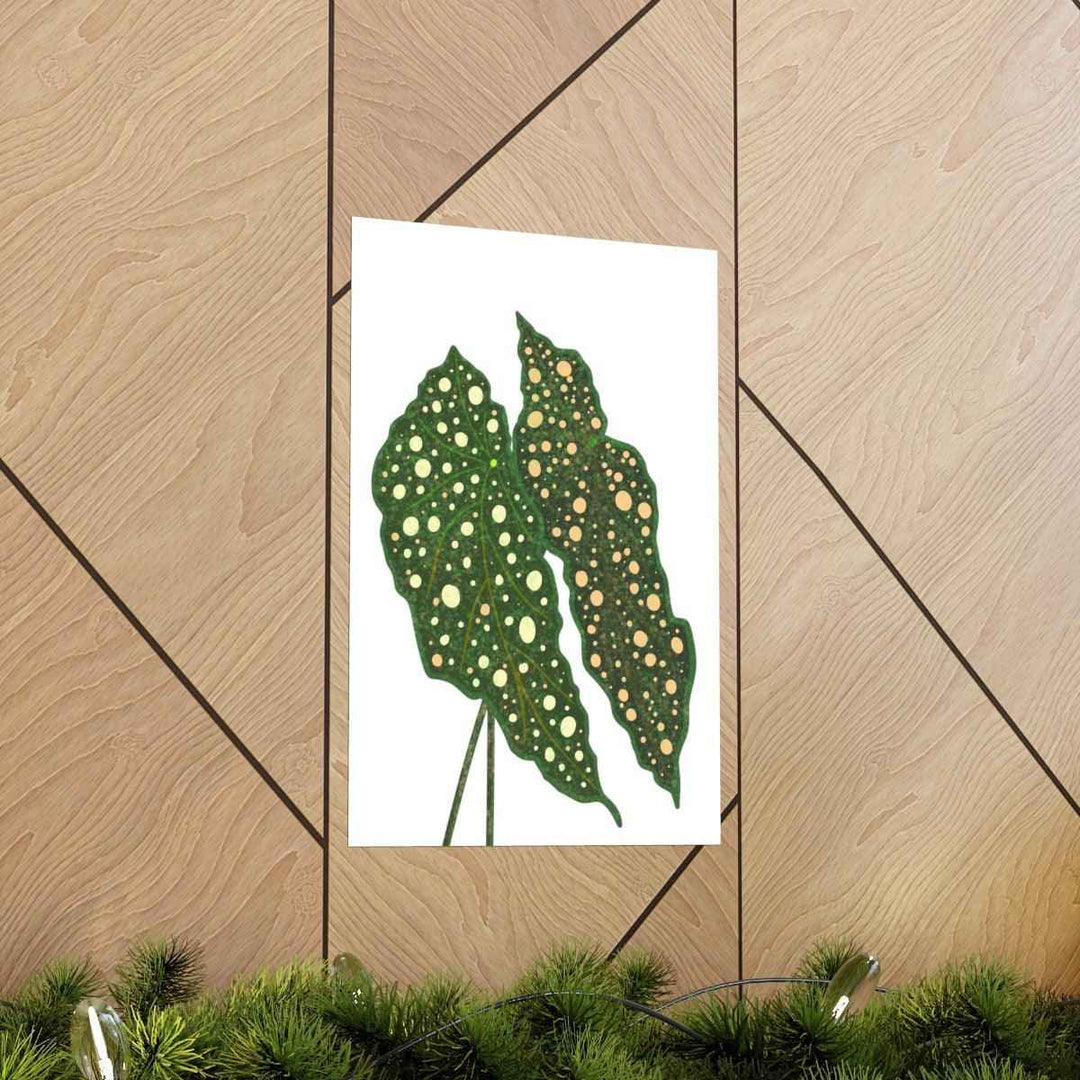 Begonia Maculata Print - Botanical Wall Art on Museum Grade Paper | Matte Finish Unframed