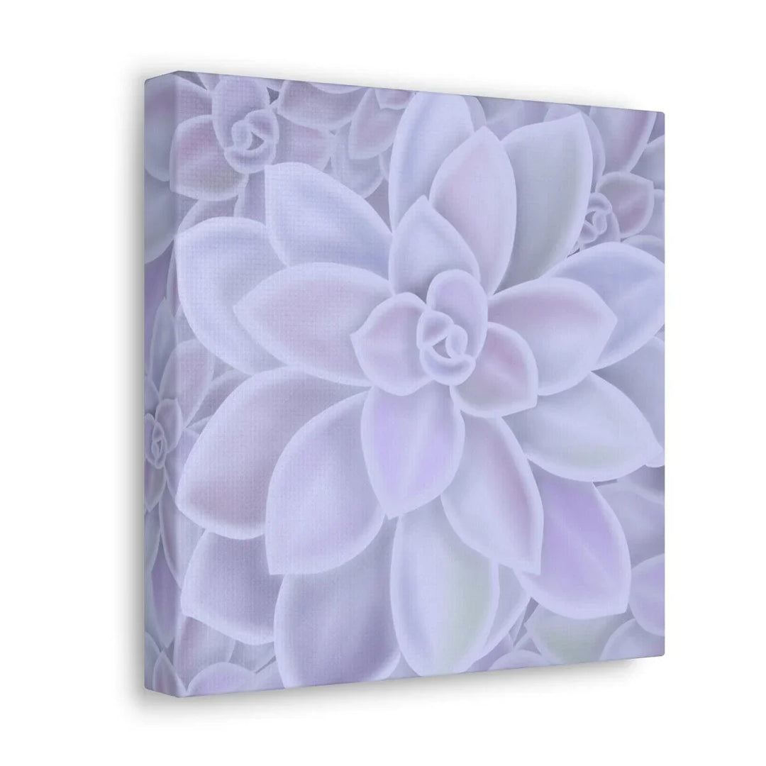 Graptopetalum 'Murasaki' Succulent Canvas, Canvas, Laura Christine Photography & Design, Art & Wall Decor, Canvas, Hanging Hardware, Home & Living, Indoor, Laura Christine Photography & Design, laurachristinedesign.com