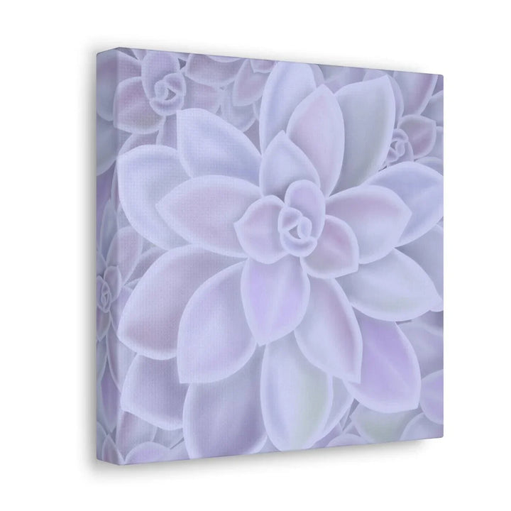 Graptopetalum 'Murasaki' Succulent Canvas, Canvas, Laura Christine Photography & Design, Art & Wall Decor, Canvas, Hanging Hardware, Home & Living, Indoor, Laura Christine Photography & Design, laurachristinedesign.com