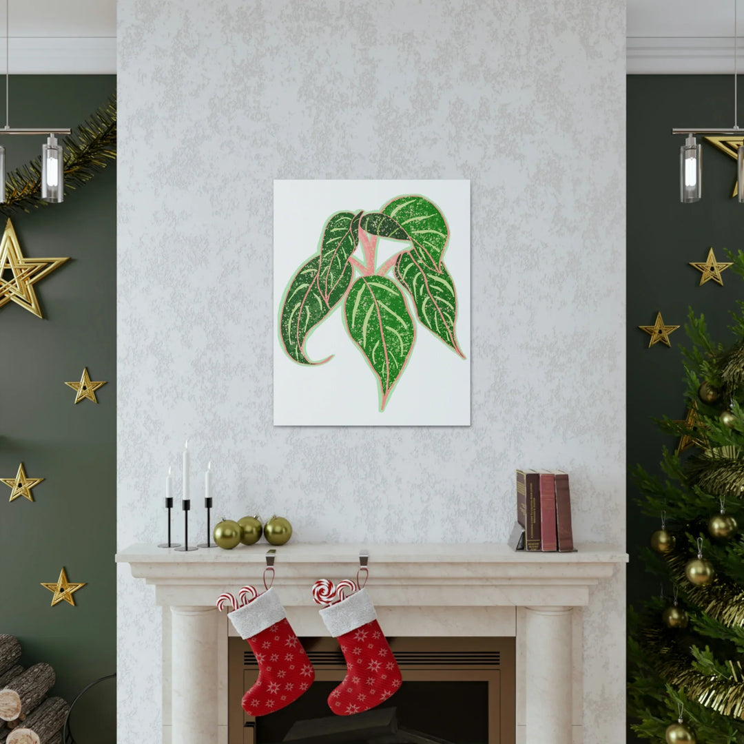 Aglaonema Plant Canvas | Sparkling Plant Artwork - Colorfast Canvas Art Print Decor