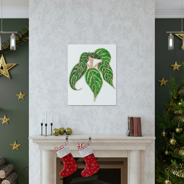 Aglaonema Plant Canvas | Sparkling Plant Artwork - Colorfast Canvas Art Print Decor