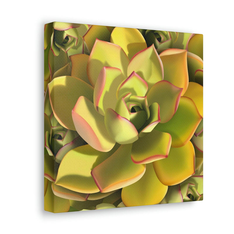 Noble Aeonium Succulent Pattern Canvas, Canvas, Printify, Art & Wall Decor, Canvas, Hanging Hardware, Home & Living, Indoor, Laura Christine Photography & Design, laurachristinedesign.com