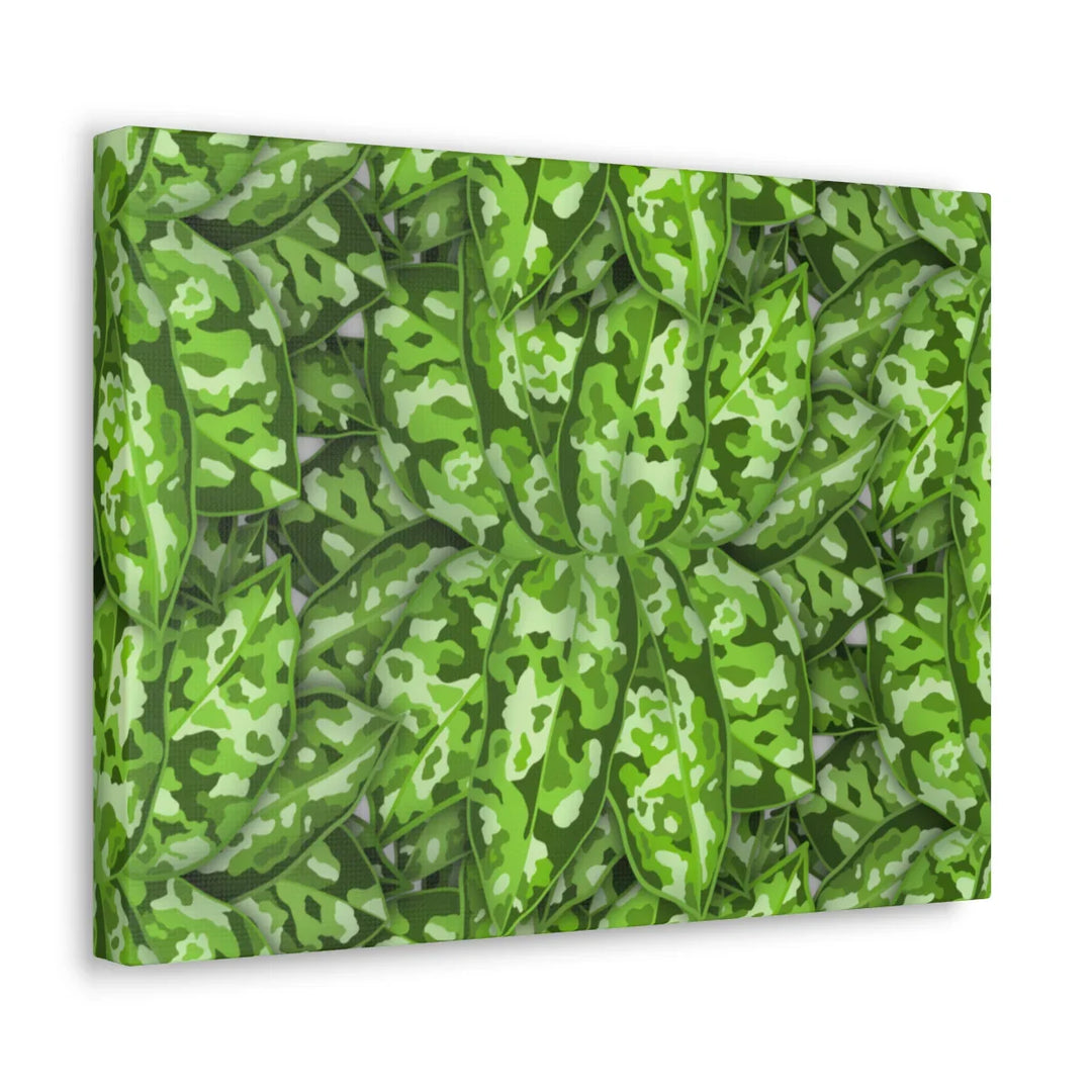 Aglaonema Pictum Canvas - Rare Camouflage Leaf Print Canvas Art Print