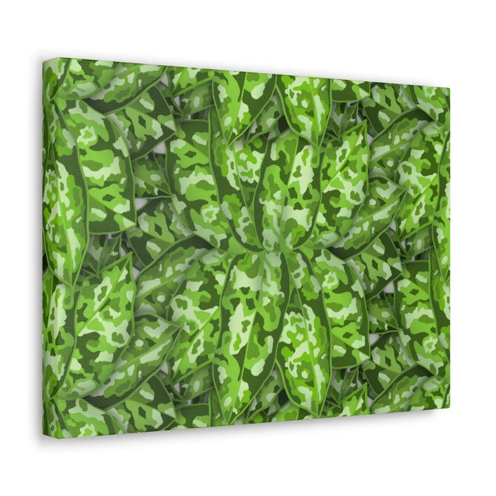 Aglaonema Pictum Canvas - Rare Camouflage Leaf Print Canvas Art Print