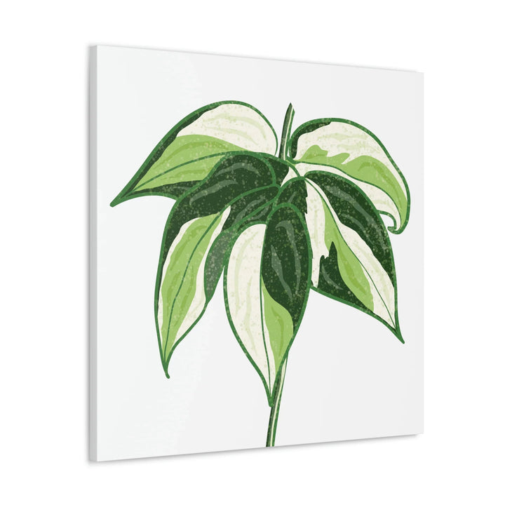 Philodendron Canvas Print - Cream Splash Variegated Plant Art on Matte Cotton Canvas