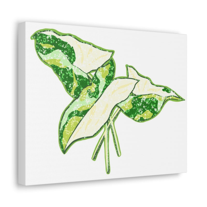 Marble Syngonium Canvas