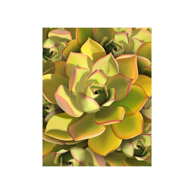 Noble Aeonium Succulent Pattern Print, Poster, Printify, Back to School, Home & Living, Indoor, Matte, Paper, Posters, Valentine's Day promotion, Laura Christine Photography & Design, laurachristinedesign.com