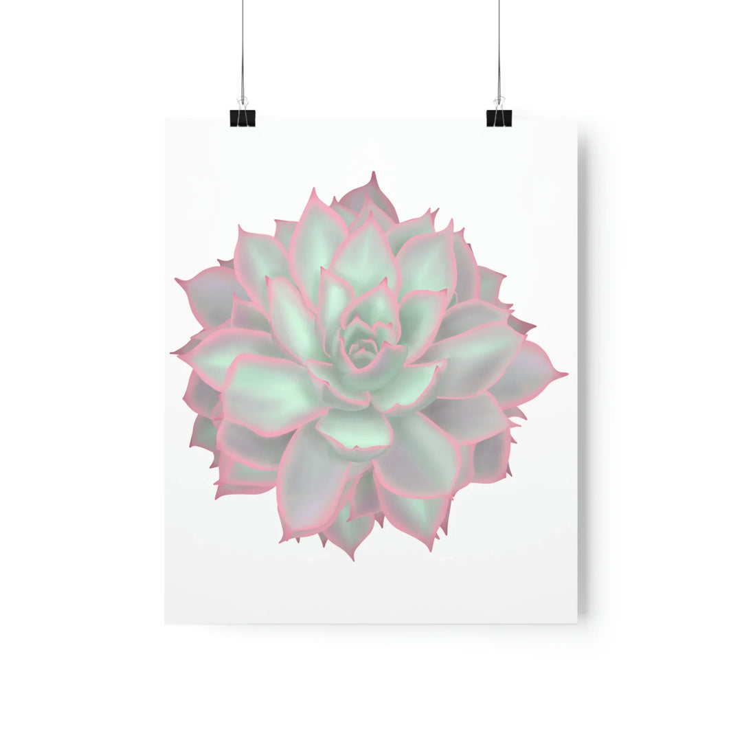 Echeveria Violet Queen Print – Succulent Wall Art | Botanical Poster On Museum Grade Paper
