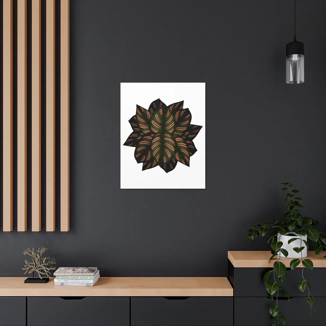 Calathea Pinstripe Canvas – Botanical Canvas Art Print | Matte Finish Wall Decor