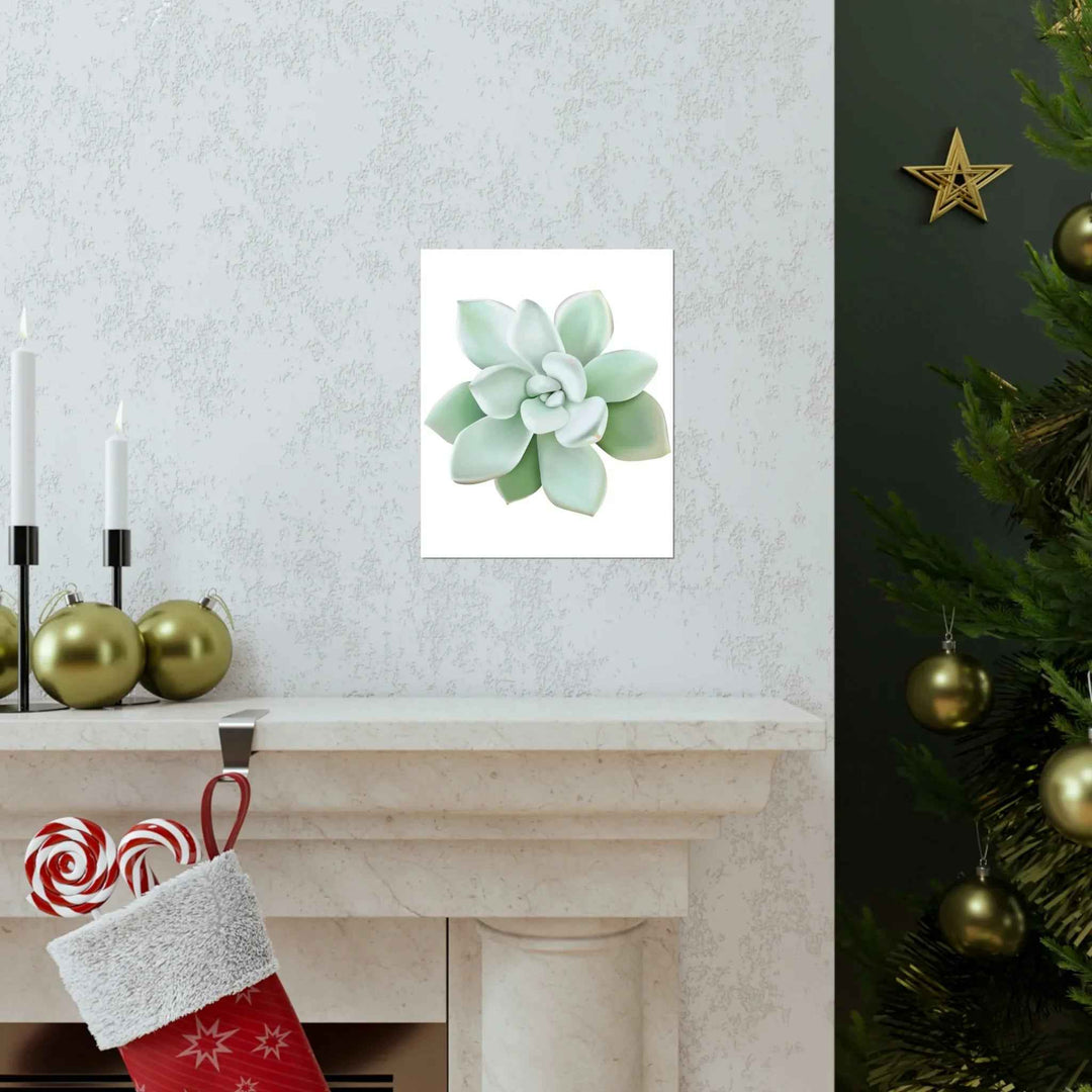 POS Pachyveria Print