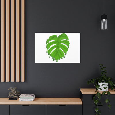 Melting Monstera Canvas