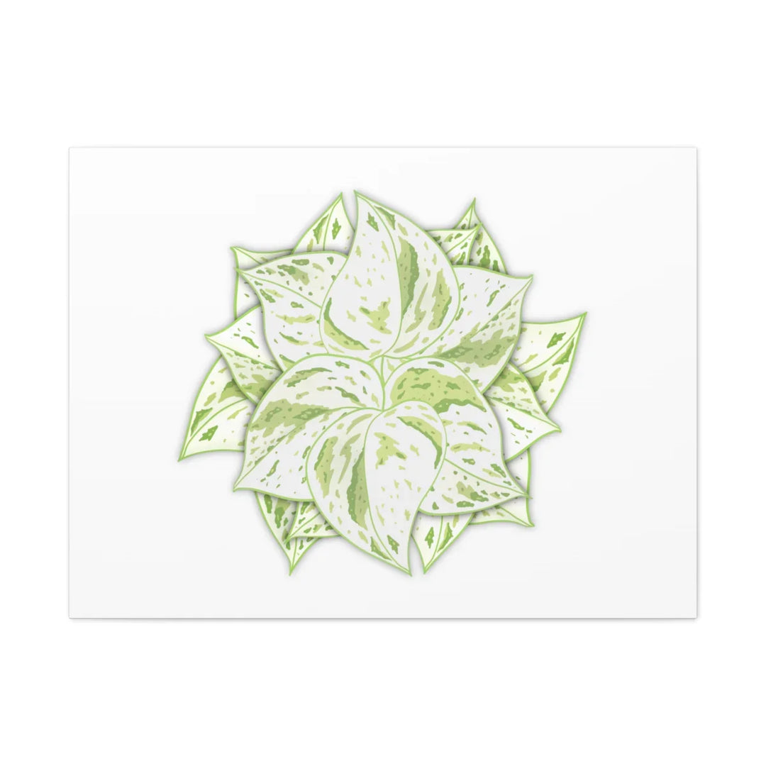 Snow Queen Pothos Canvas – Variegated Leaf Canvas Art Print | Durable Cotton - Laura Christine Photography & Design