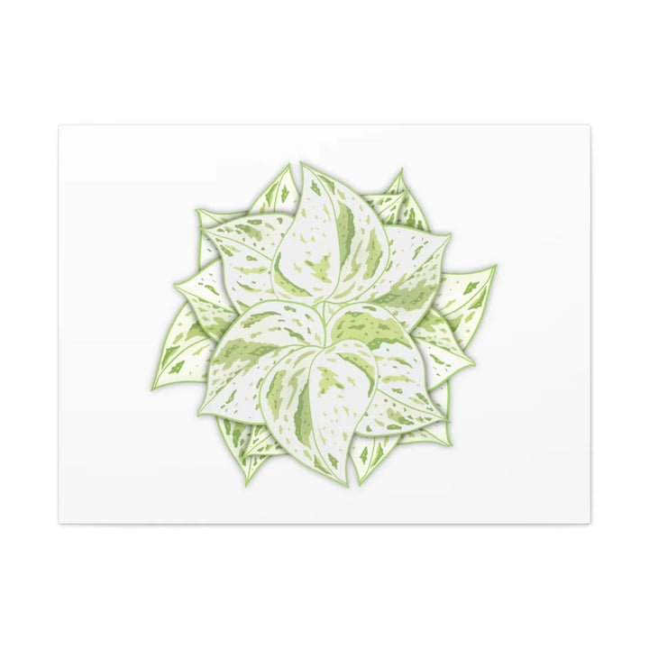Snow Queen Pothos Canvas – Variegated Leaf Canvas Art Print | Durable Cotton - Laura Christine Photography & Design