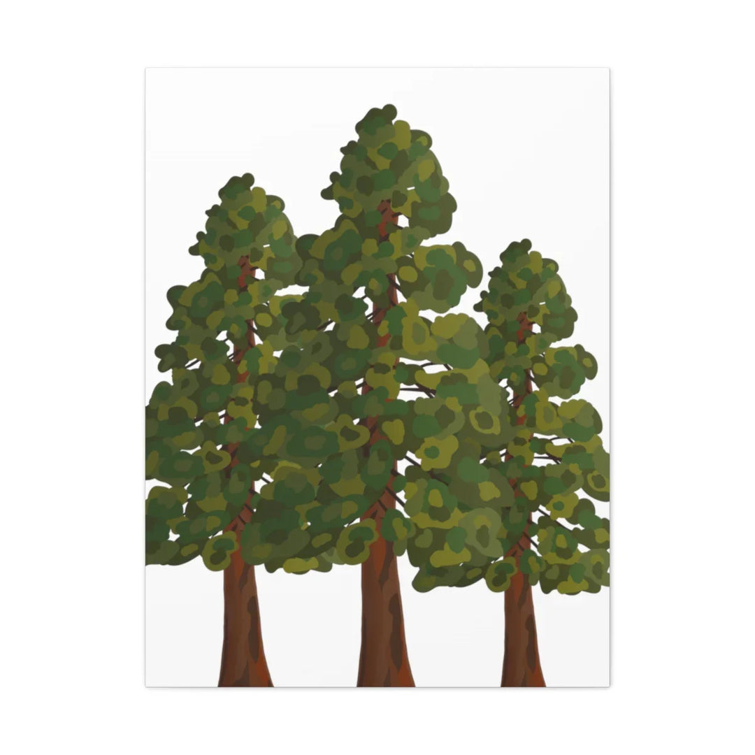 Coastal Redwoods Canvas - Stretched Cotton Canvas Art Print | Matte Finish Wall Hanging Artwork