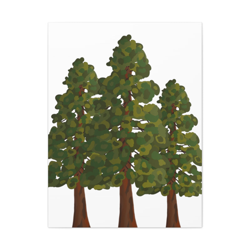 Coastal Redwoods Canvas