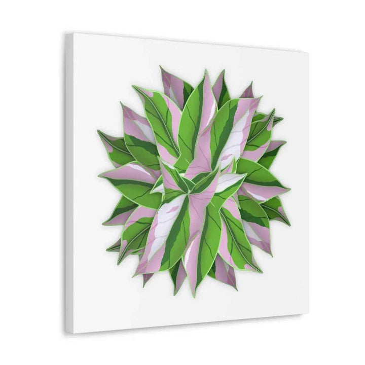 Tricolor Syngonium Canvas - Durable Canvas Art Print With Matte Finish & Botanical Design