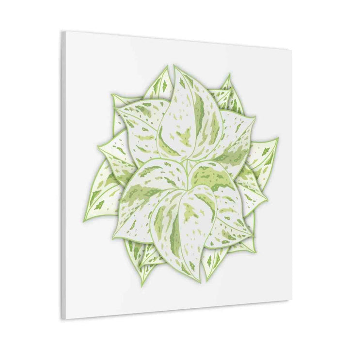 Snow Queen Pothos Canvas – Variegated Leaf Canvas Art Print | Durable Cotton