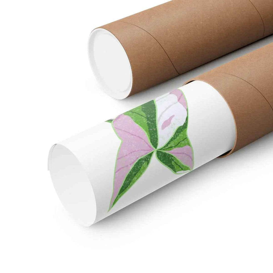 Syngonium Tricolor Print – Botanical Wall Art | Variegated Leaf Poster Unframed