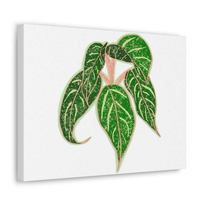 Aglaonema Plant Canvas | Sparkling Plant Artwork - Colorfast Canvas Art Print Decor