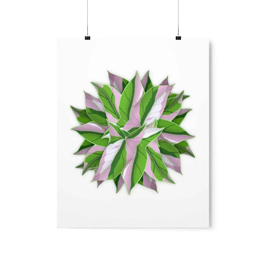 Tricolor Syngonium Print - Botanical Poster on Museum Grade Paper | Archival Ink Unframed