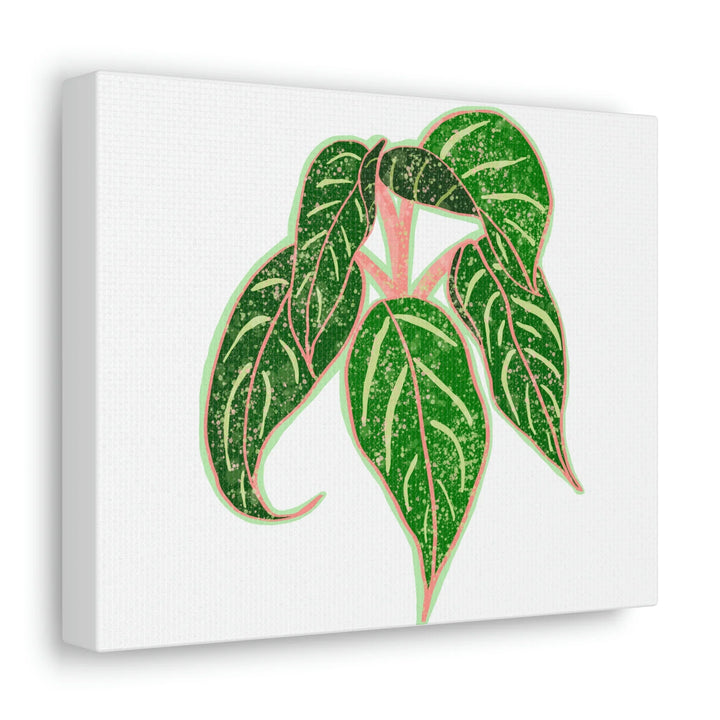 Aglaonema Plant Canvas | Sparkling Plant Artwork - Colorfast Canvas Art Print Decor