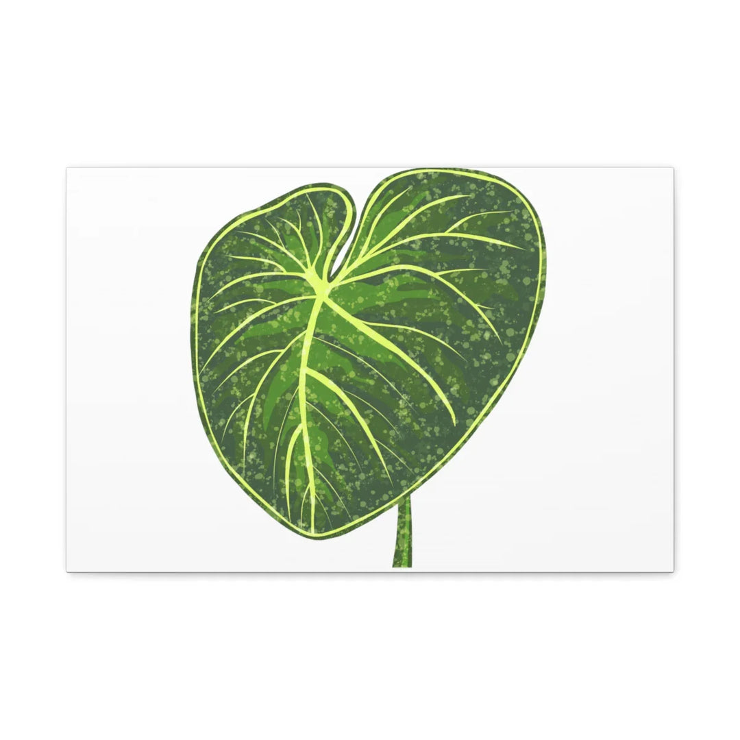 Philodendron Gloriosum Canvas - Stretched Canvas Art Print | Matte Indoor Wall Art - Laura Christine Photography & Design