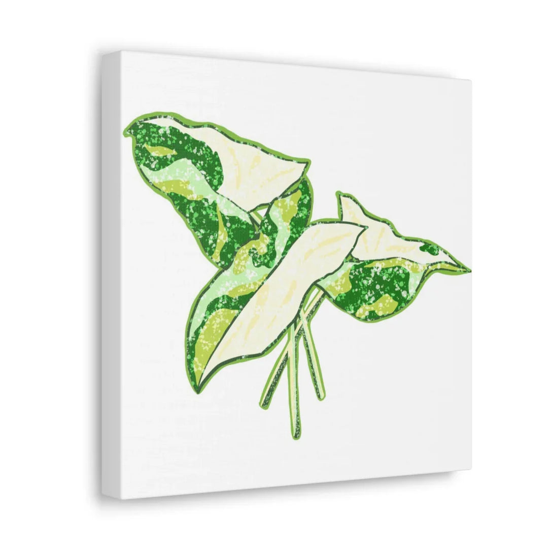 Marble Syngonium Canvas - Botanical Canvas Art Print | Durable Cotton Matte Finish - Laura Christine Photography & Design