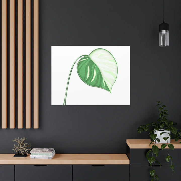 Monstera Albo Canvas | Large Tropical Leaf Artwork - Matte Finish Canvas Art Print - Laura Christine Photography & Design