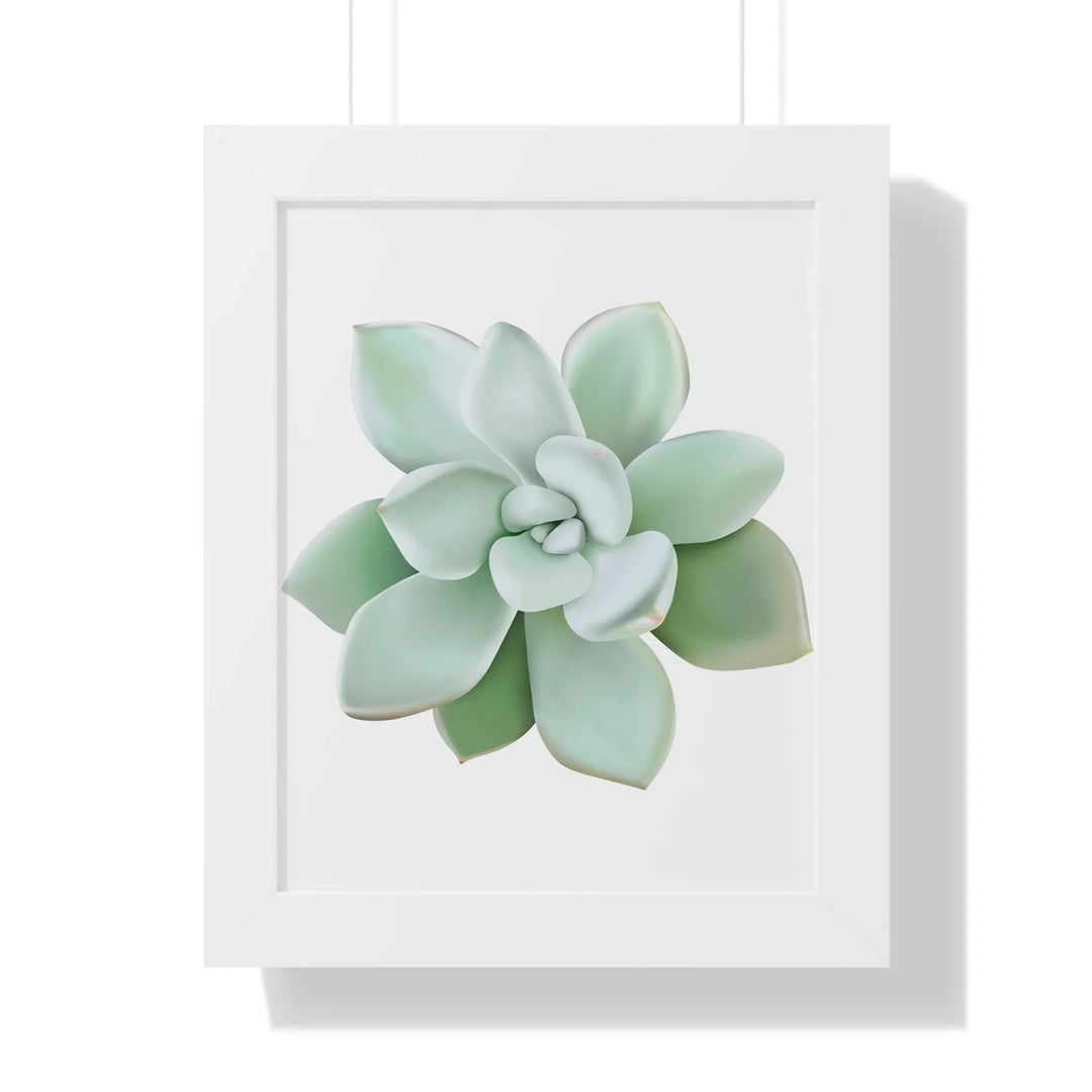 Pachyveria Haagei Succulent Framed Print, Poster, Printify, Framed, Home & Living, Indoor, Paper, Posters, Laura Christine Photography & Design, laurachristinedesign.com