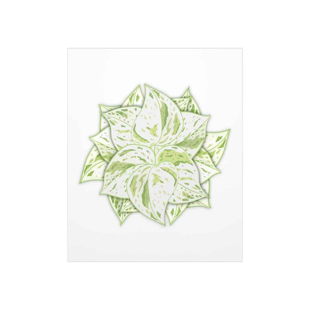 Snow Queen Pothos Print – Variegated Pothos Art on Museum Grade Paper Unframed